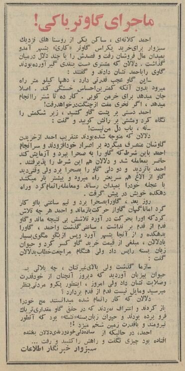 گاو