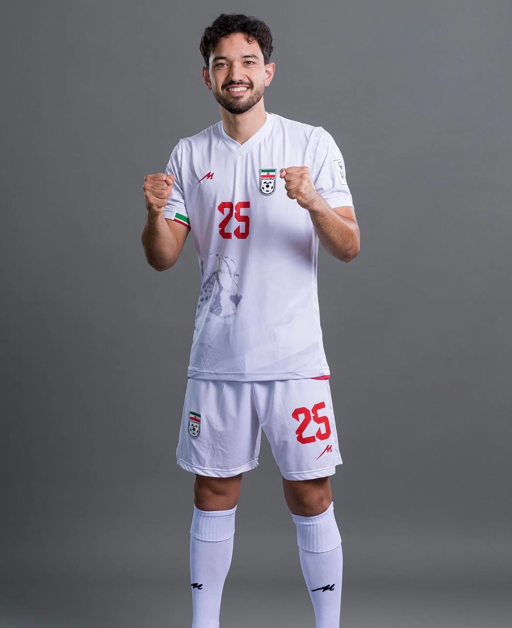 دانیال ایری
