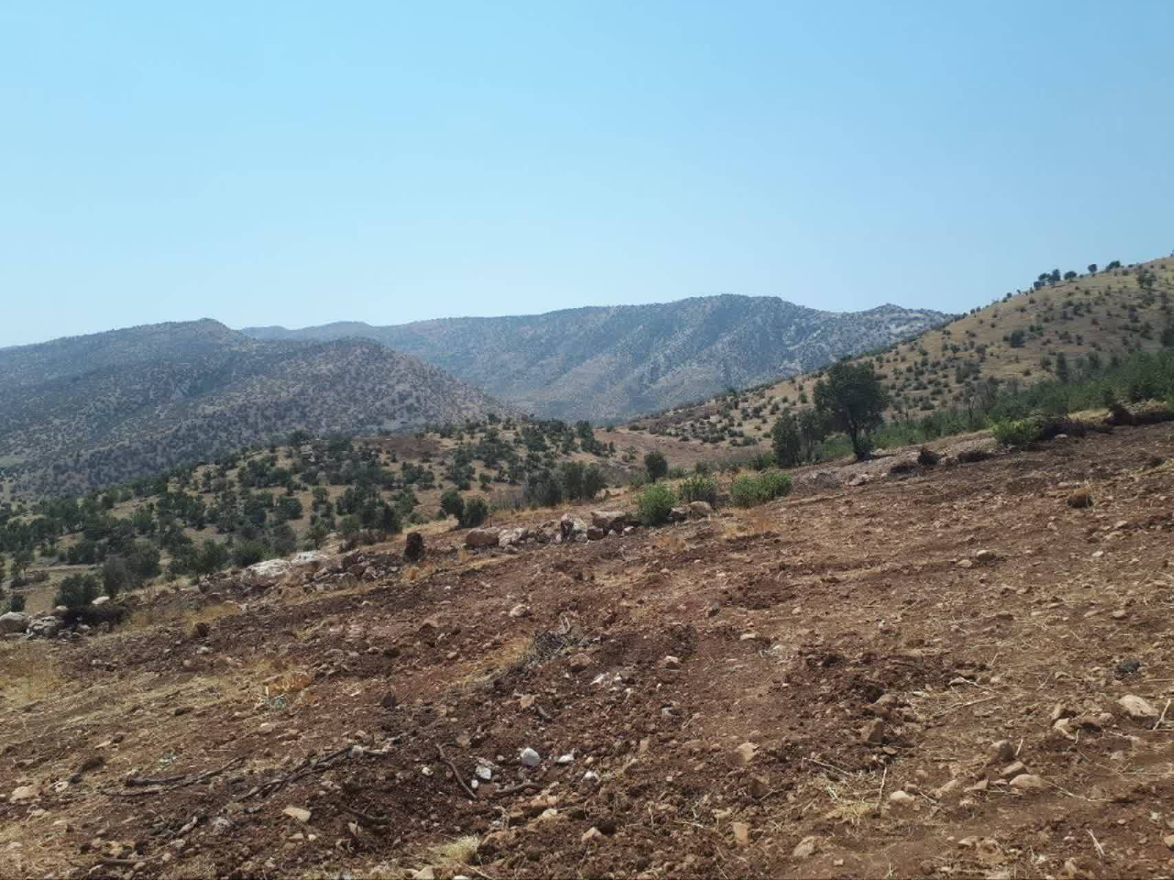 جبار ولی‌پور
