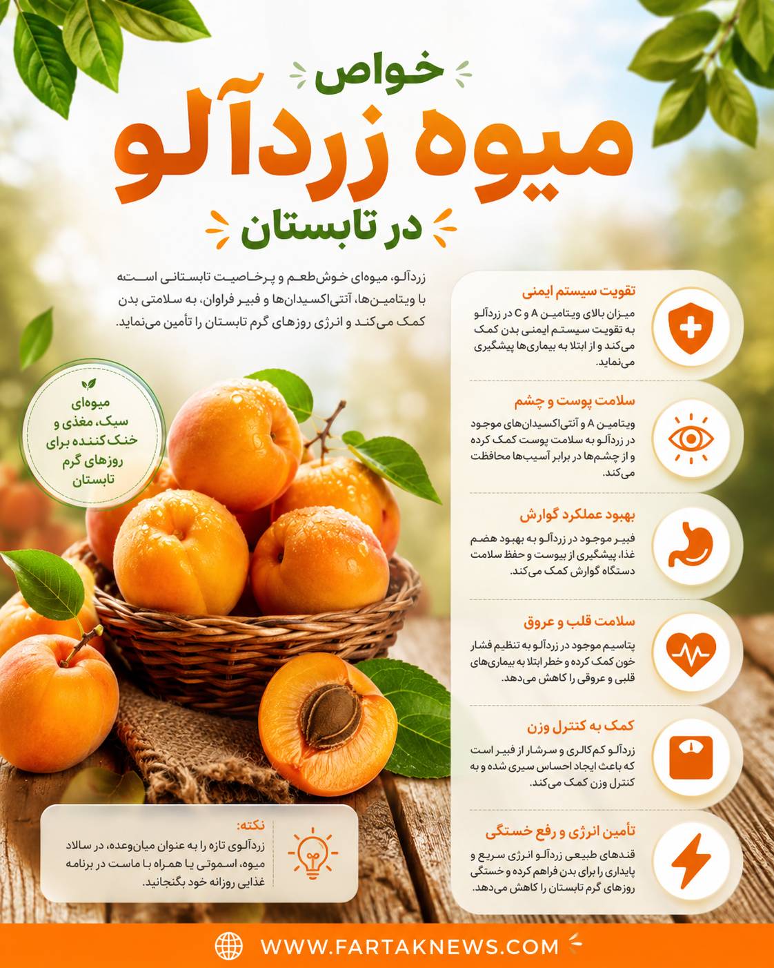 خواص زردآلو