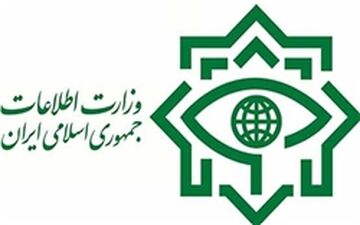 عوامل یک تیم تروریستی قبل از هرگونه اقدام دستگیر شدند 