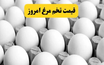 قیمت تخم‌مرغ امروز ۱۴ دی؛ شانه تا ۳۰۰ هزار تومان رسید!
