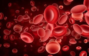 تالاسمی یکی از شایع ترین اختلال ها و بیماری های خونی است
