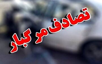  بی‌احتیاطی راننده، دو کودک ۲ قلو را به کام مرگ کشاند 