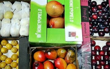 میوه قاچاق زیر تیغ نظارت