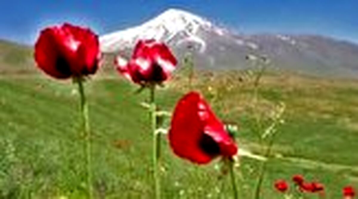 دماوند زیبا از منظر کاروانسرای قصر بهرام