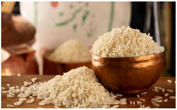 قیمت روز برنج ایرانی ۲۵ شهریور ۱۴۰۴؛ طارم، هاشمی و نیم‌دانه