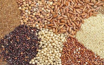 قیمت انواع نهاده های دامی و محصولات کشاورزی ۱۸ اسفند ۱۴۰۴