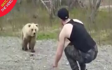 اقدام عجیب یک توریست در محدوده نگهداری خرس‌ها!