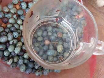 photod (23)