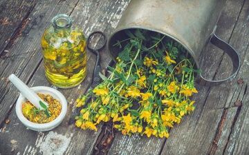 گلی که به درمانگر افسردگی مشهور است/ با این داروها مصرف نکنید