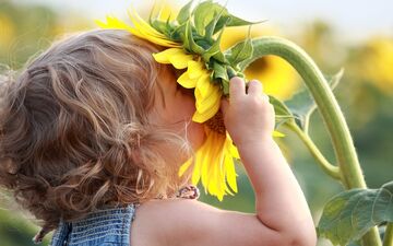 آیا می‌دانید بو چه تاثیری روی مغز انسان دارد؟