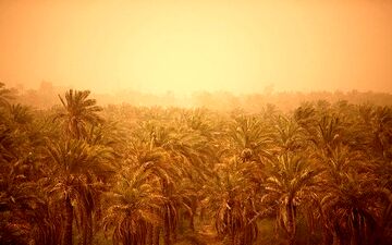 ابداع روشی نوین برای مهار ریزگردها