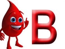 همه چیز درباره گروه خونی B مثبت؛ از اهدا تا دریافت خون
