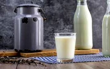 افزایش ۲۹درصدی قیمت شیرخام روی میز سازمان حمایت 