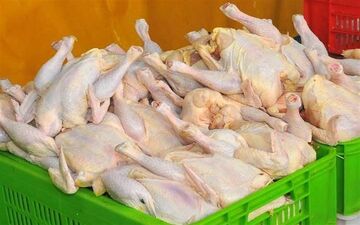 هر کیلو مرغ 100 هزار تومان ناقابل! / چرخ کرده مستضعفی۳۳۰ هزار تومانش
