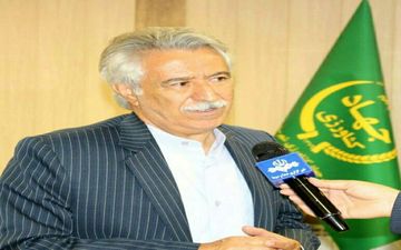 بیش از ۹ هزار هکتار از مزارع شهرستان کرمانشاه تحت کشت ذرت دانه ای قرارگرفته است