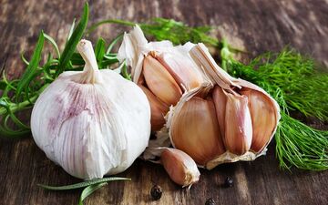 سیر؛ معجزه ای برای لاغری
