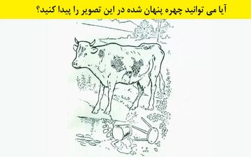 تست بینایی| 8 ثانیه فرصت داری چهره مخفی در این تصویر را پیدا کنی!