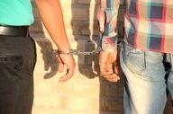 شناسایی و بازداشت شبکه فعال در زمینه ریزپرنده‌ها در چهارمحال و بختیاری