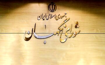 طرح تشکیل وزارت بازرگانی در شورای نگهبان رد شد