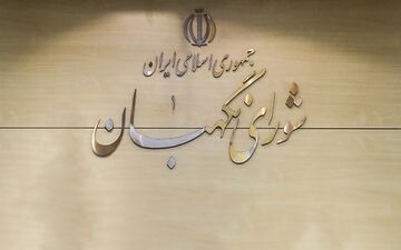 طرح تشکیل وزارت بازرگانی در شورای نگهبان رد شد