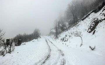  چند نفر در برف و کولاک کردستان گرفتار شدند؟