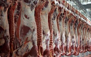 
جلوگیری از عرضه گوشت قرمز به صورت لاشه
