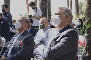 روزجهانی چوب -نادر دارستانی- علیرضا ویسی