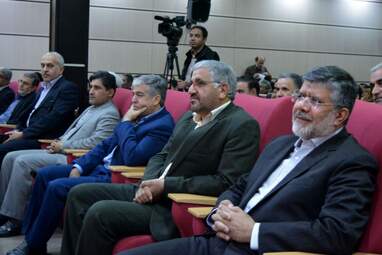 D (81)