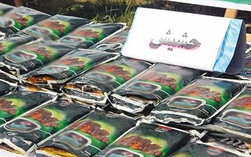 قاچاقچی حرفه‌ای با ۵۸۵ کیلوگرم حشیش در کنارک دستگیر شد