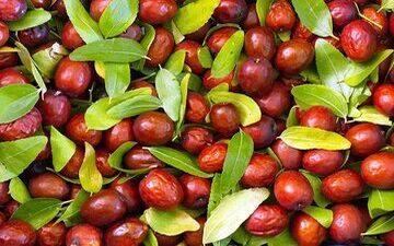 این میوه برای سلامت جنسی مردان غوغا می کند!

