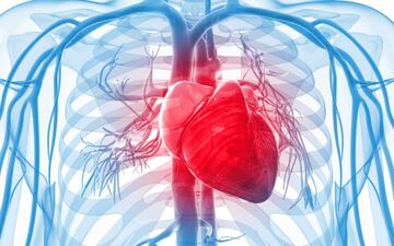 دلیل اینکه قلب ناگهان تپش می گیرد چیست؟+ درمان