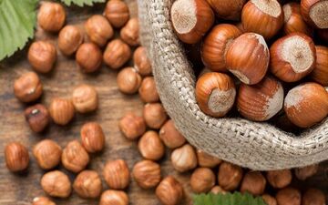 فندق در کاهش ریسک ابتلا به سرطان مفید است؟