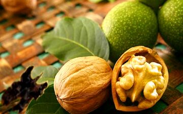 بهترین راهکار برای کاهش کلسترول