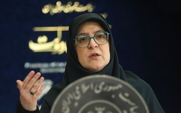 پاسخ مهاجرانی به اتهام‌زنی‌ها درباره نوسانات قیمت دلار