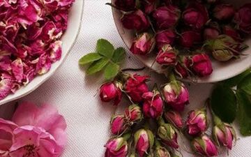 تاثیرات شگفت‌انگیز گل سرخ برای زیبایی