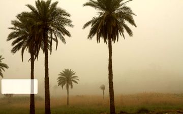 هوای خرمشهر در شرایط خطرناک قرار گرفت