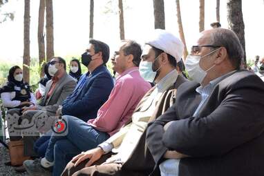 روزجهانی چوب 