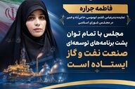 حمایت مجلس از برنامه‌های توسعه‌ای صنعت نفت و گاز