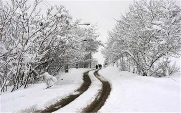 آغاز برف و باران در نقاط غربی کشور