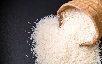 قیمت جدید انواع برنج