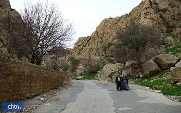 ارسال 8 پرونده میراث طبیعی کرمانشاه به شورای ثبت