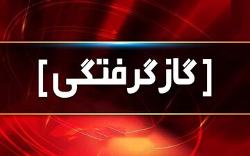 گاز گرفتگی هفت نفر را در زنجان راهی بیمارستان کرد