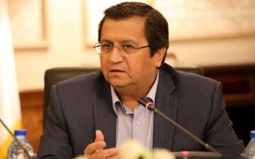 انتظار داریم صندوق بین المللی پول تقاضای وام ایران را تصویب کند