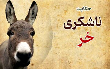 حکایت کوتاه و آموزنده ناشکری خر از دفتر پنجم مثنوی معنوی مولانا
