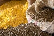 عملیات موفق پلیس: کشف نهاده‌های دامی میلیاردی در سنقر