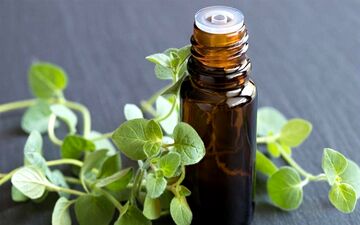 گیاه آویشن این ویروس های خطرناک را از شما دور می‌کند