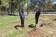 کاشت ۲۰۰ اصله نهال‌ در مجموعه پارک شرقی طاق‌بستان

