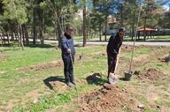 کاشت ۲۰۰ اصله نهال‌ در مجموعه پارک شرقی طاق‌بستان

